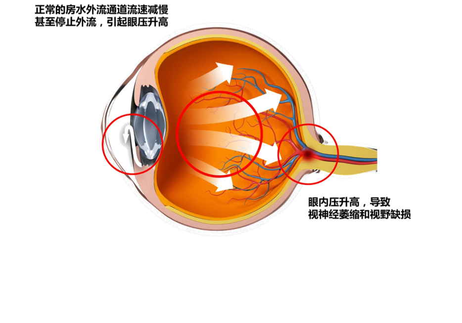 微信图片_20220307143701.png 微信图片_20220307143701.png